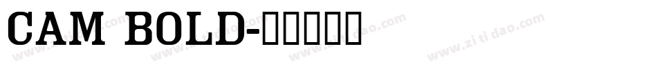 Cam Bold字体转换